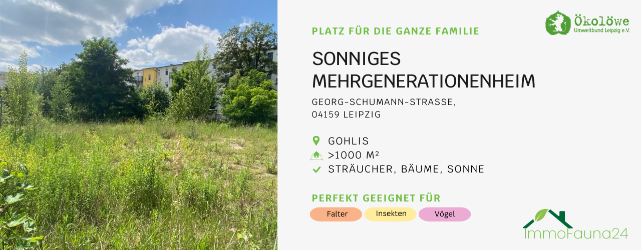 Brache in Gohlis