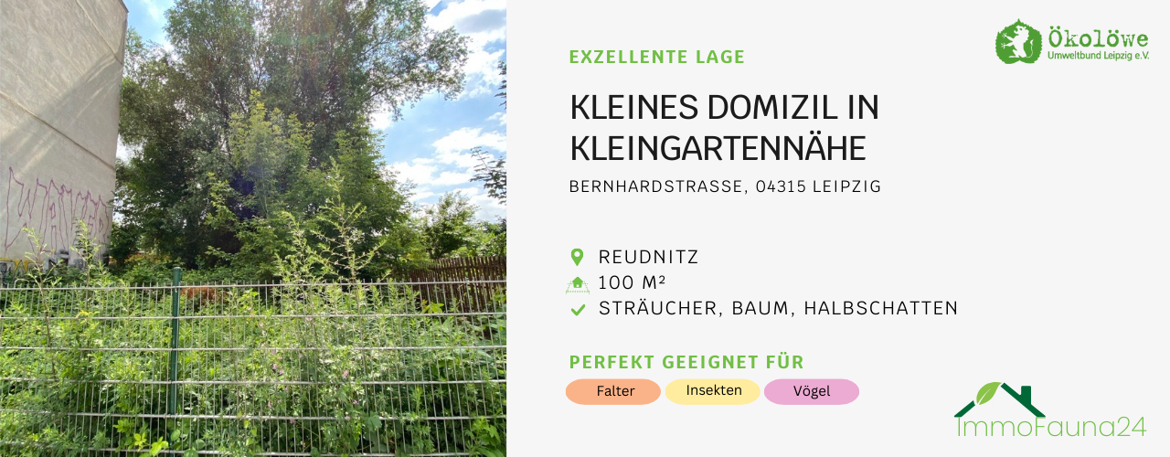 Brache in Reudnitz