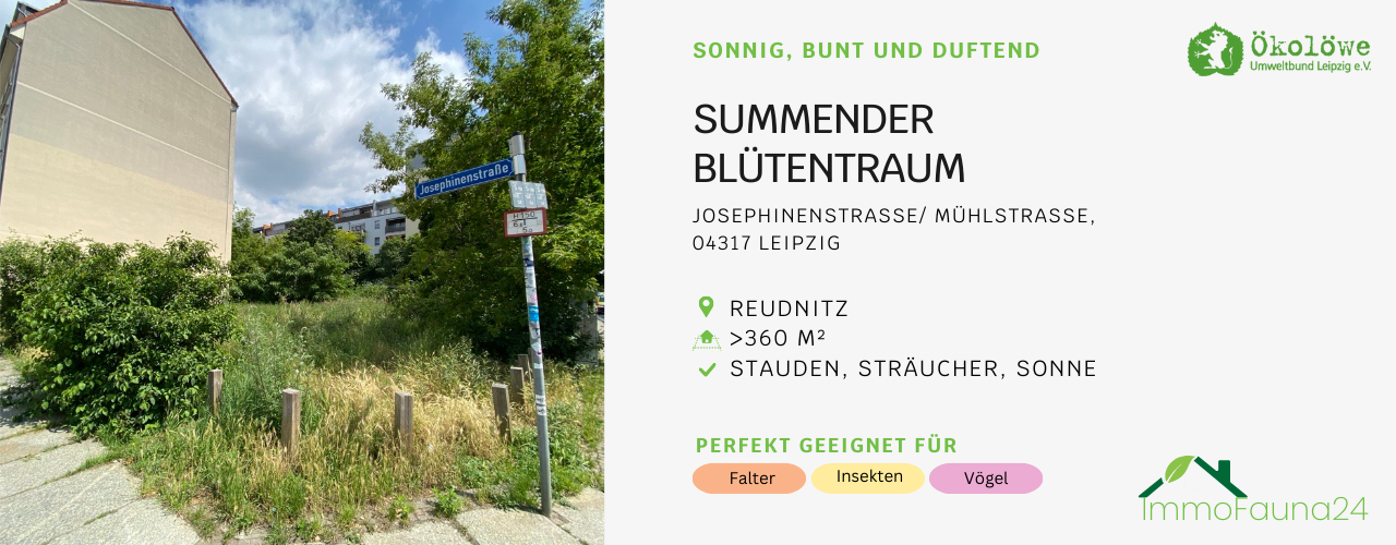 Brache in Reudnitz