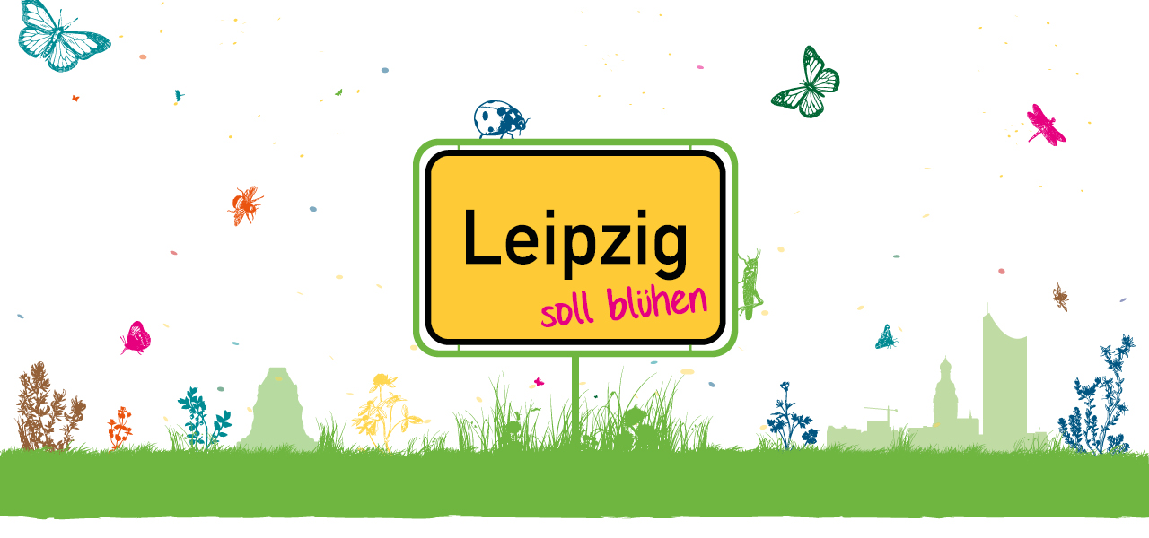Wiese, Blumen, Insekten und eine Leipzigschild