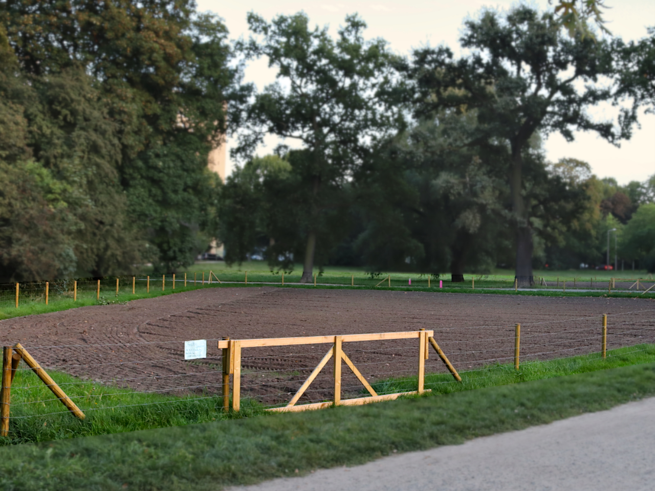 Ein eingezäunter Bereich im Johannapark in Vorbereitung einer Mahdgut-Übertragung