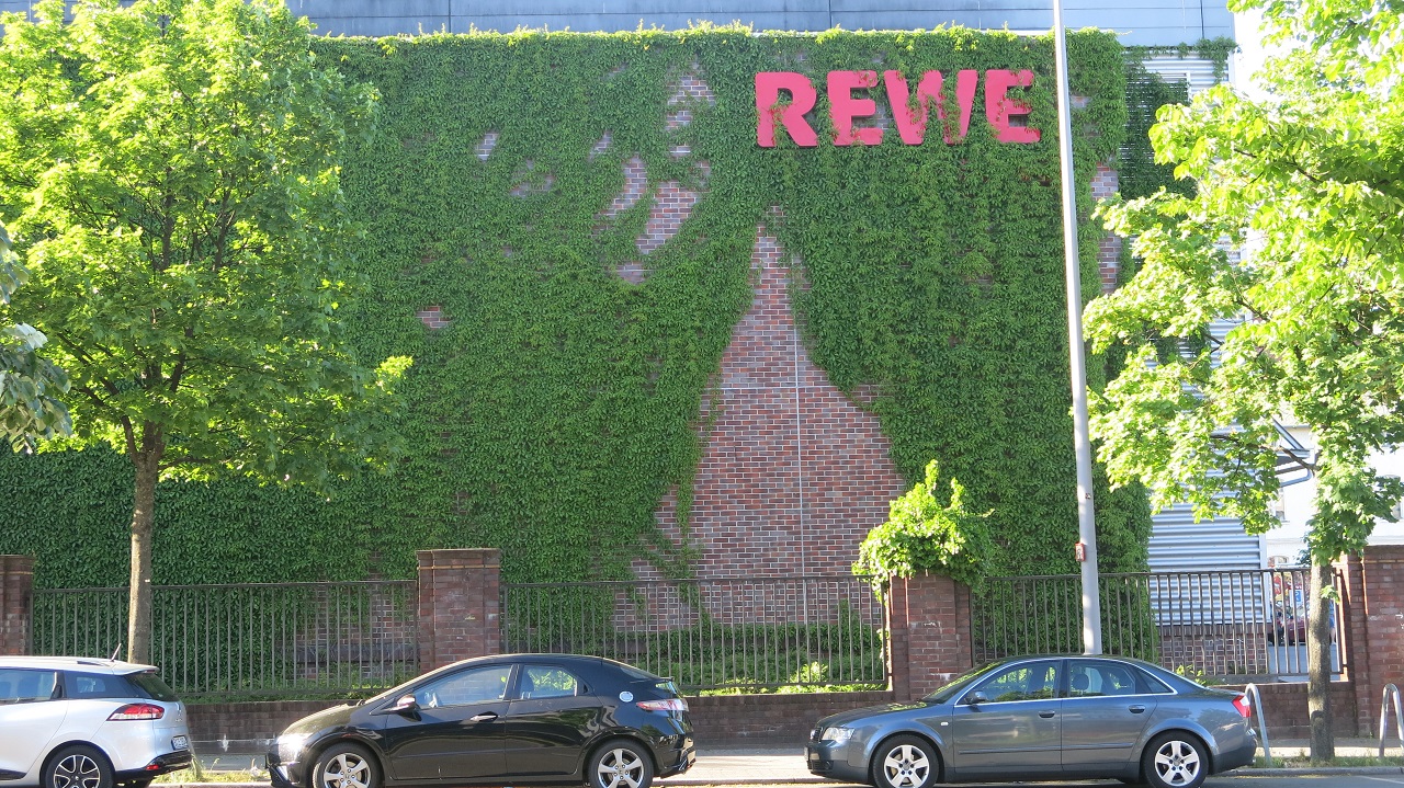 Grüner Rewe in Berlin