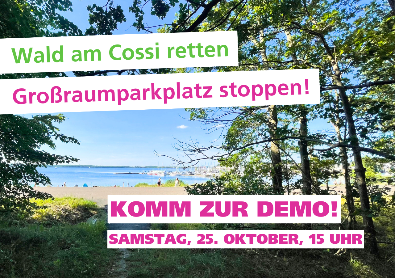 Demo am Cossi