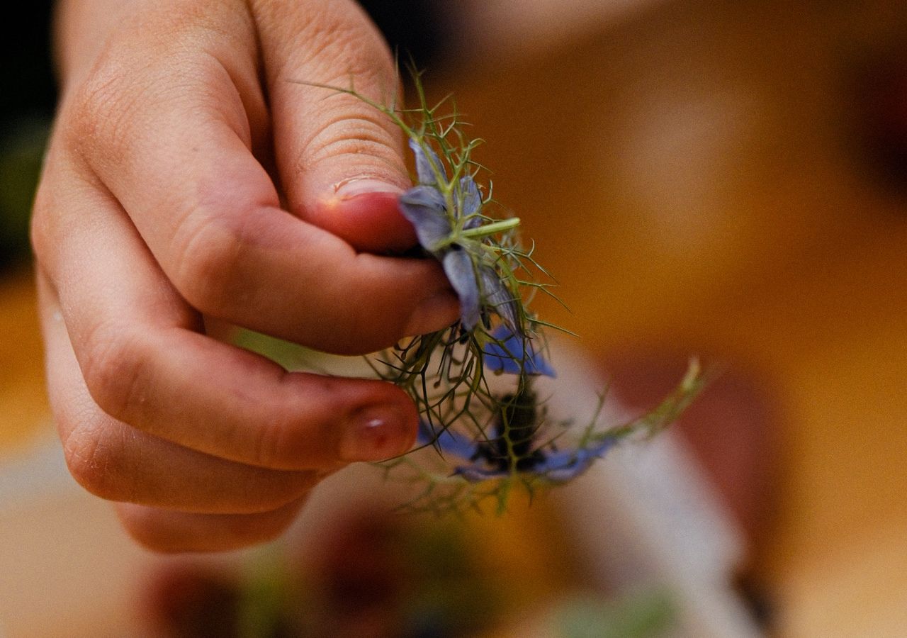 Kinderhand hält Blüte